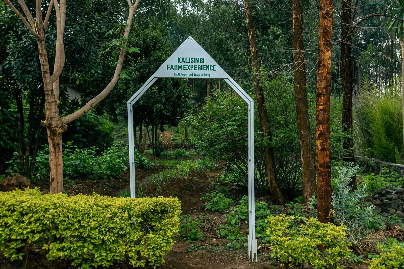 Carved entrance sign at the resort